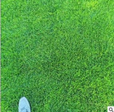 批發混播四季青