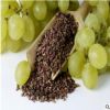 當(dāng)年新采 葡萄種子 葡萄樹種子 品種繁多 葡萄籽 適合果園種植