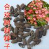行道樹種子 合歡種子金合歡銀合歡 行道樹花籽 花木種子 批發