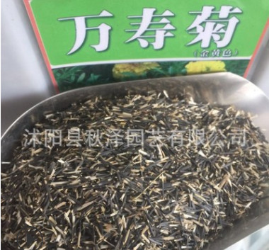 批發優質萬壽菊種子草花種子萬壽菊花卉種子量大優惠品質保證