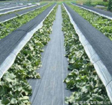 廠家定制黑色PP防草抑草布大棚園藝遮草防草地布壽命長耐磨規格全