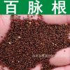 牧草種子 正宗百脈根種子 五葉草 四葉草鳥(niǎo)足豆牛角花 黃金花種子