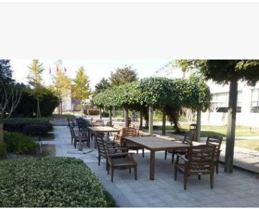 廠家供應專業綠化防腐木 福建綠化防腐木 六角亭八角亭綠化防腐木