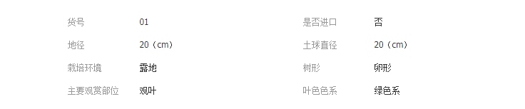 QQ截圖20190328114211