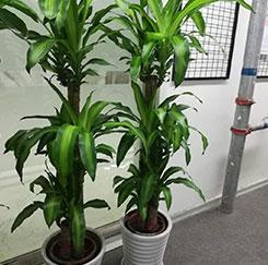 測試數(shù)據(jù)