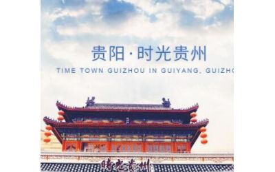 棕櫚生態城鎮發展股份有限公司