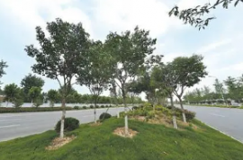 華能臨沂發(fā)電125南側綠化工程延期詢價公告202110220812