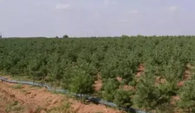 院士專家研討推動林草科技期刊高質量發(fā)展