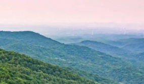 安徽滁州三項措施扣牢林場資源資產安全鎖